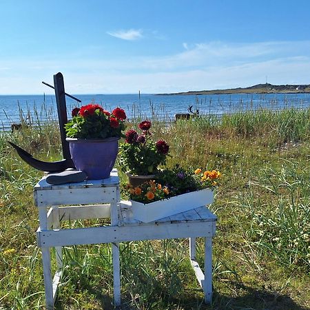 Feriehus Ved Barentshavet - Holiday Home By The Barents Sea Ytre Kiberg Dış mekan fotoğraf