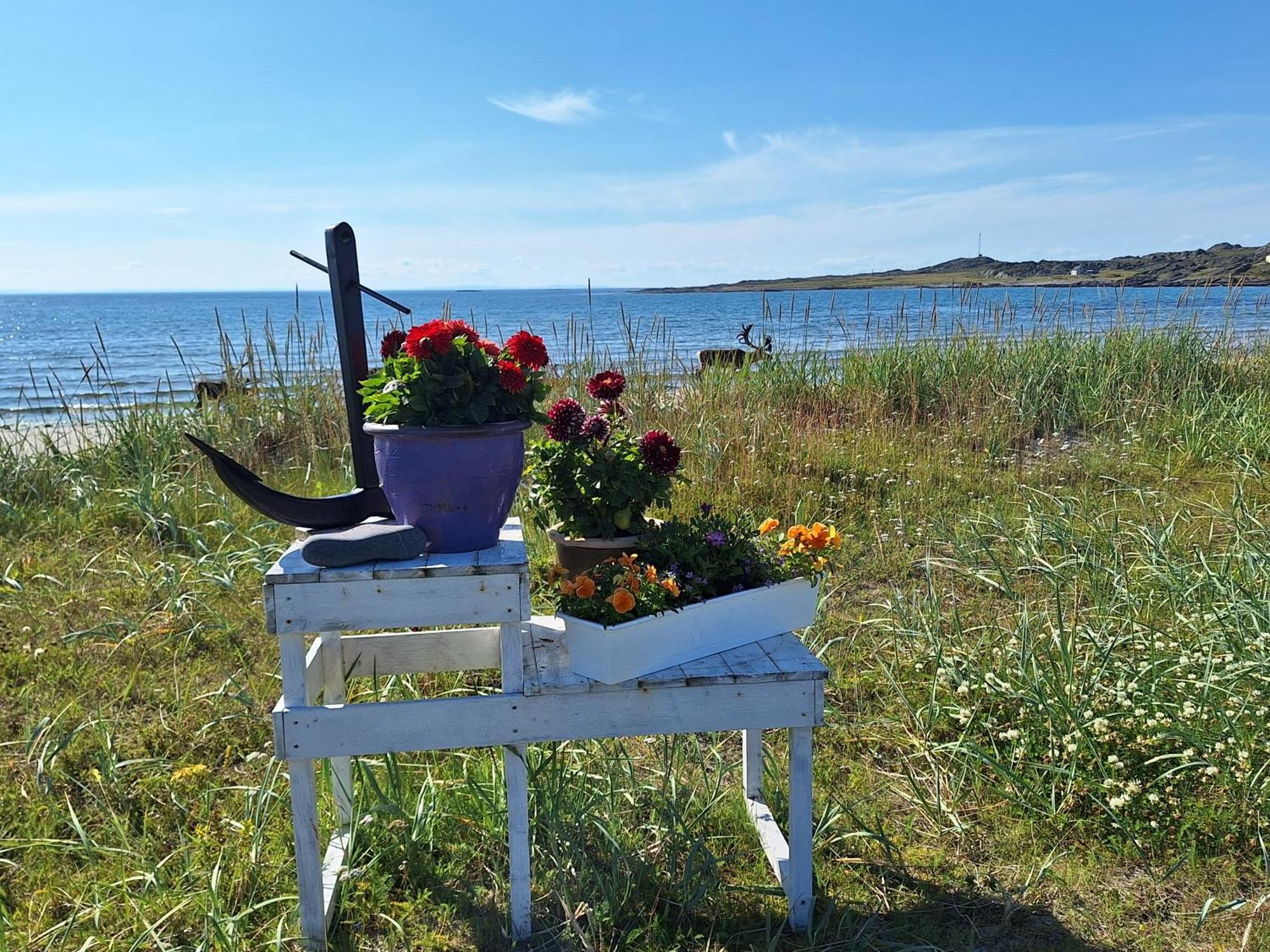 Feriehus Ved Barentshavet - Holiday Home By The Barents Sea Ytre Kiberg Dış mekan fotoğraf